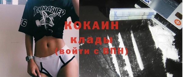 прущий лед Михайлов
